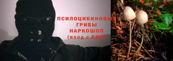 прущие крисы Аркадак