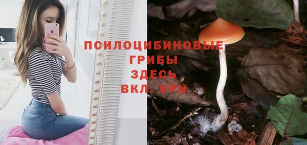 кристаллы Арсеньев