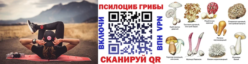 где продают   Армянск  кракен как зайти  Галлюциногенные грибы GOLDEN TEACHER 